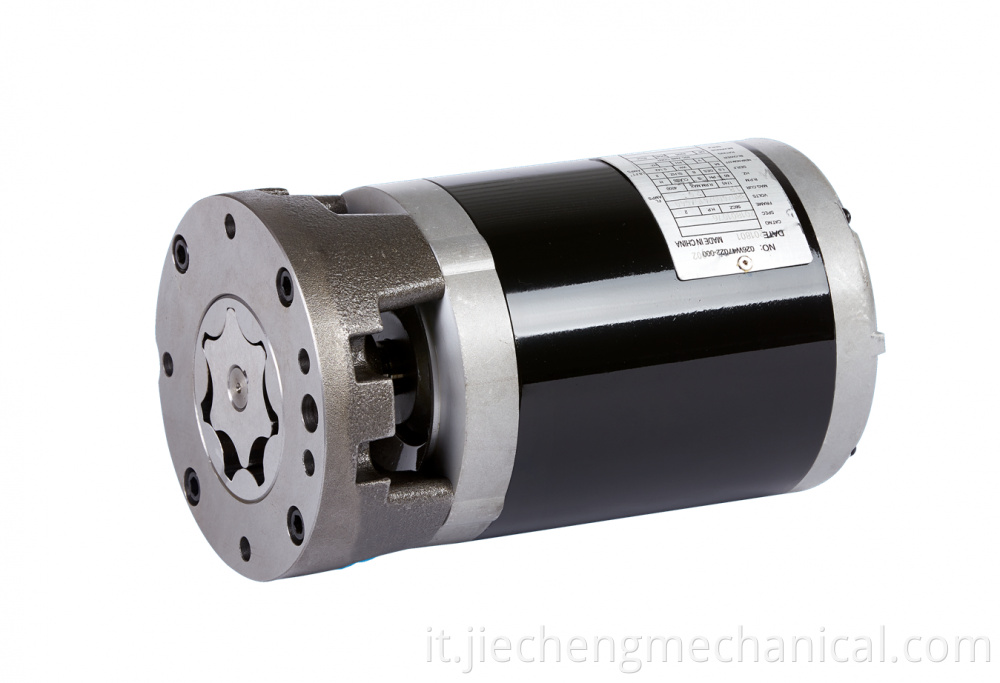 Fully immersed customizable flow cycloid gear pump